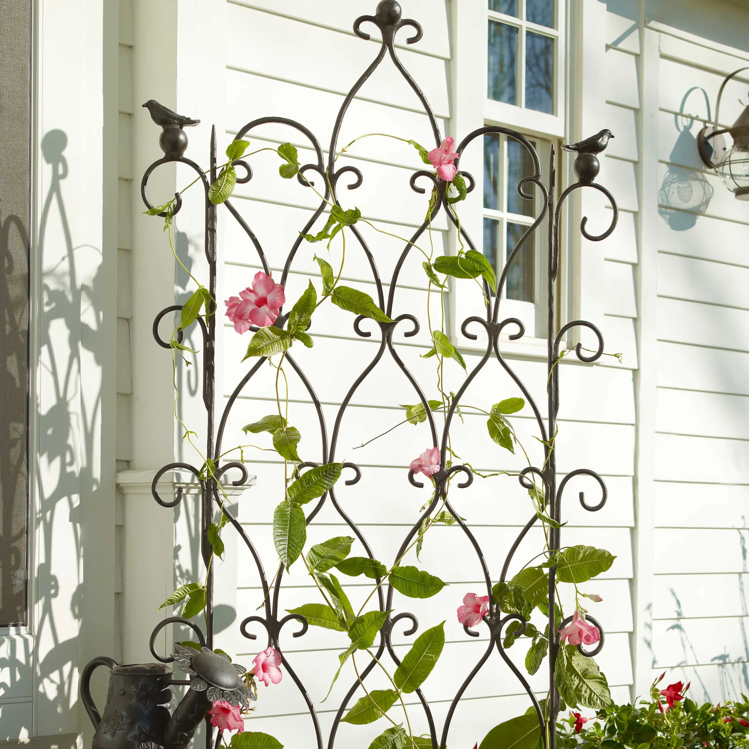 Online MacKenzie-Childs Bird On Ball Trellis