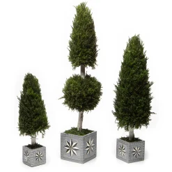 Discount MacKenzie-Childs Farmhouse Cypress Tree - Medium
