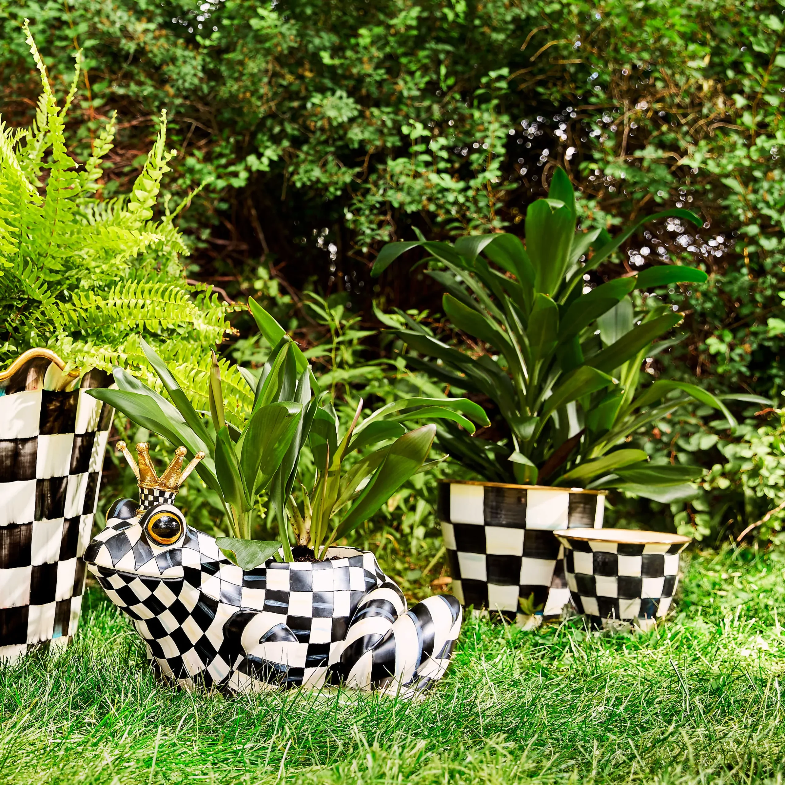 Online MacKenzie-Childs Fergal The Frog Planter