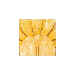 Clearance MacKenzie-Childs Golden Anemone Candle Sconce