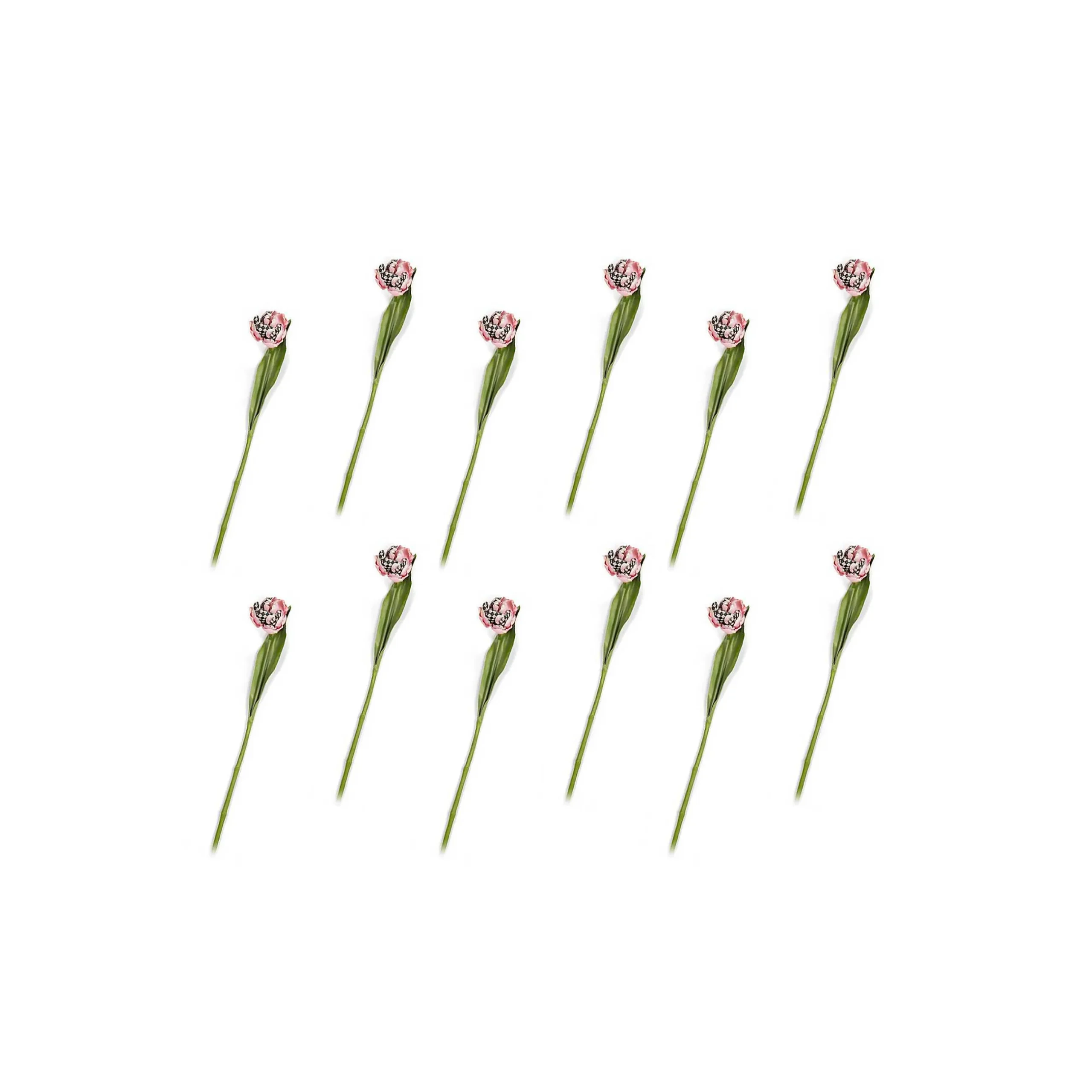 MacKenzie-Childs Parrot Tulip Bouquet - Pink - Set Of 12