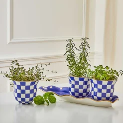Outlet MacKenzie-Childs Royal Check Herb Garden Set