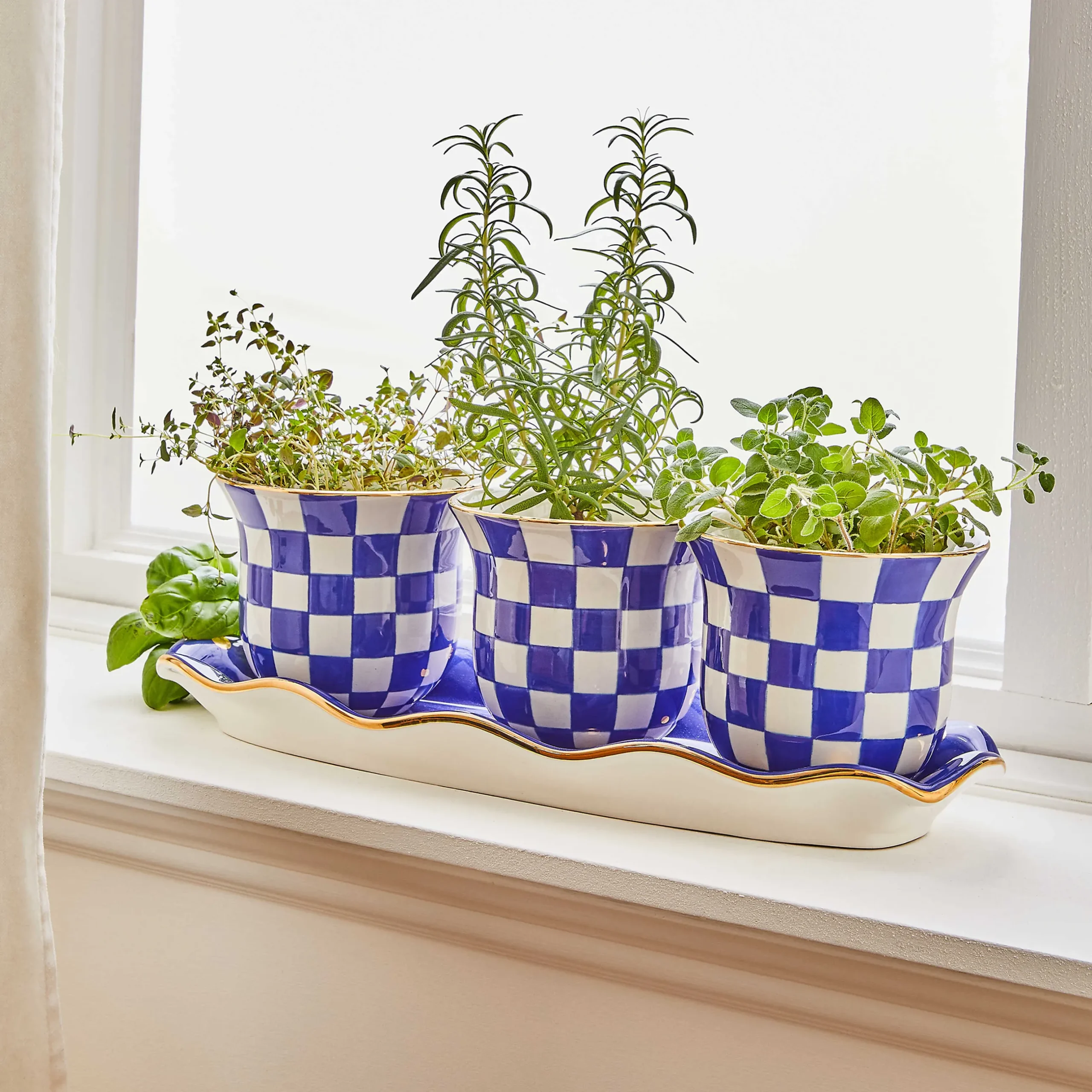 Outlet MacKenzie-Childs Royal Check Herb Garden Set