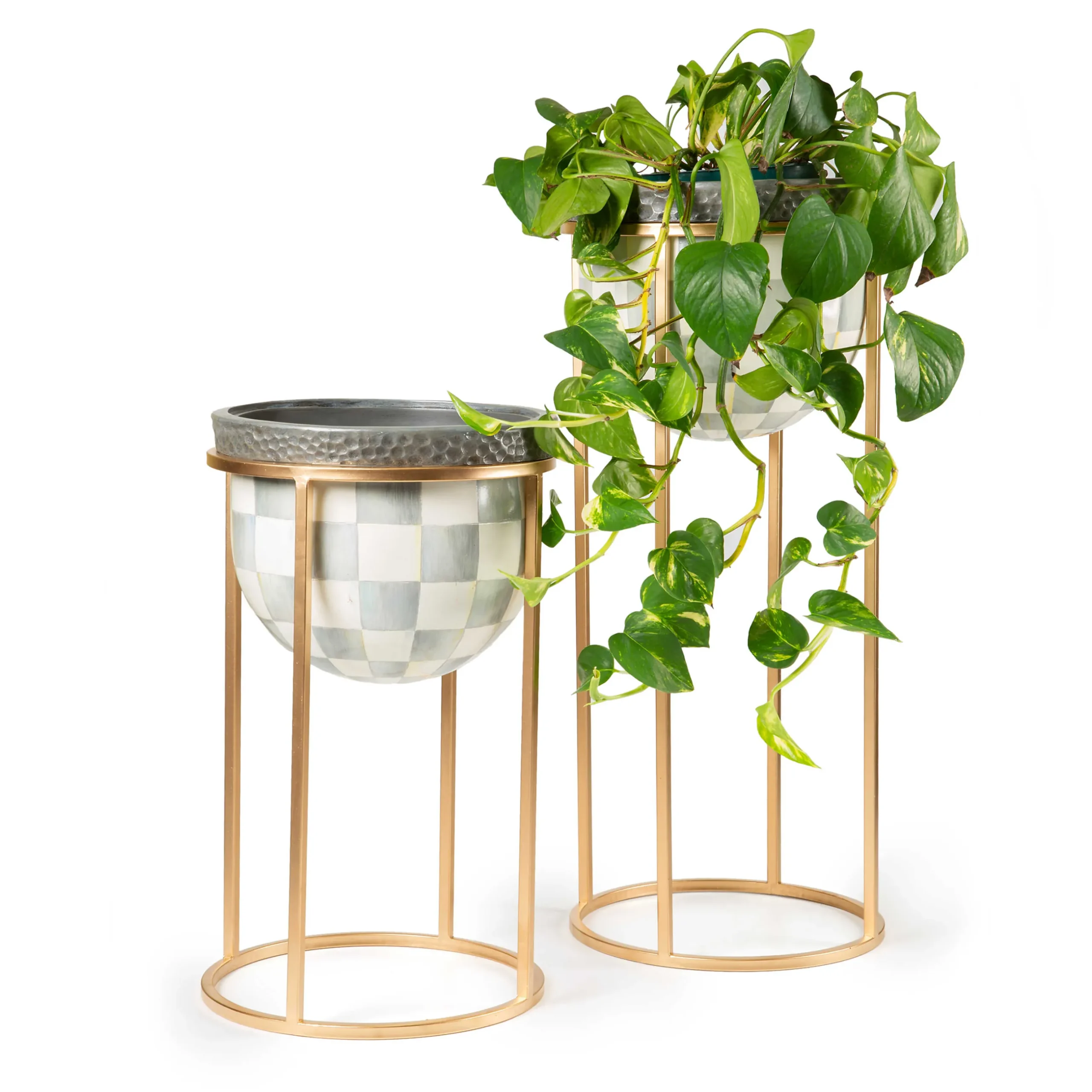 Online MacKenzie-Childs Sterling Check Plant Stand - Short